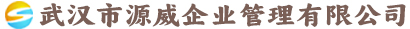 武汉市源威企业管理有限公司